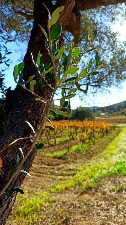 לה באסט Logement La Belle Provence מראה חיצוני תמונה