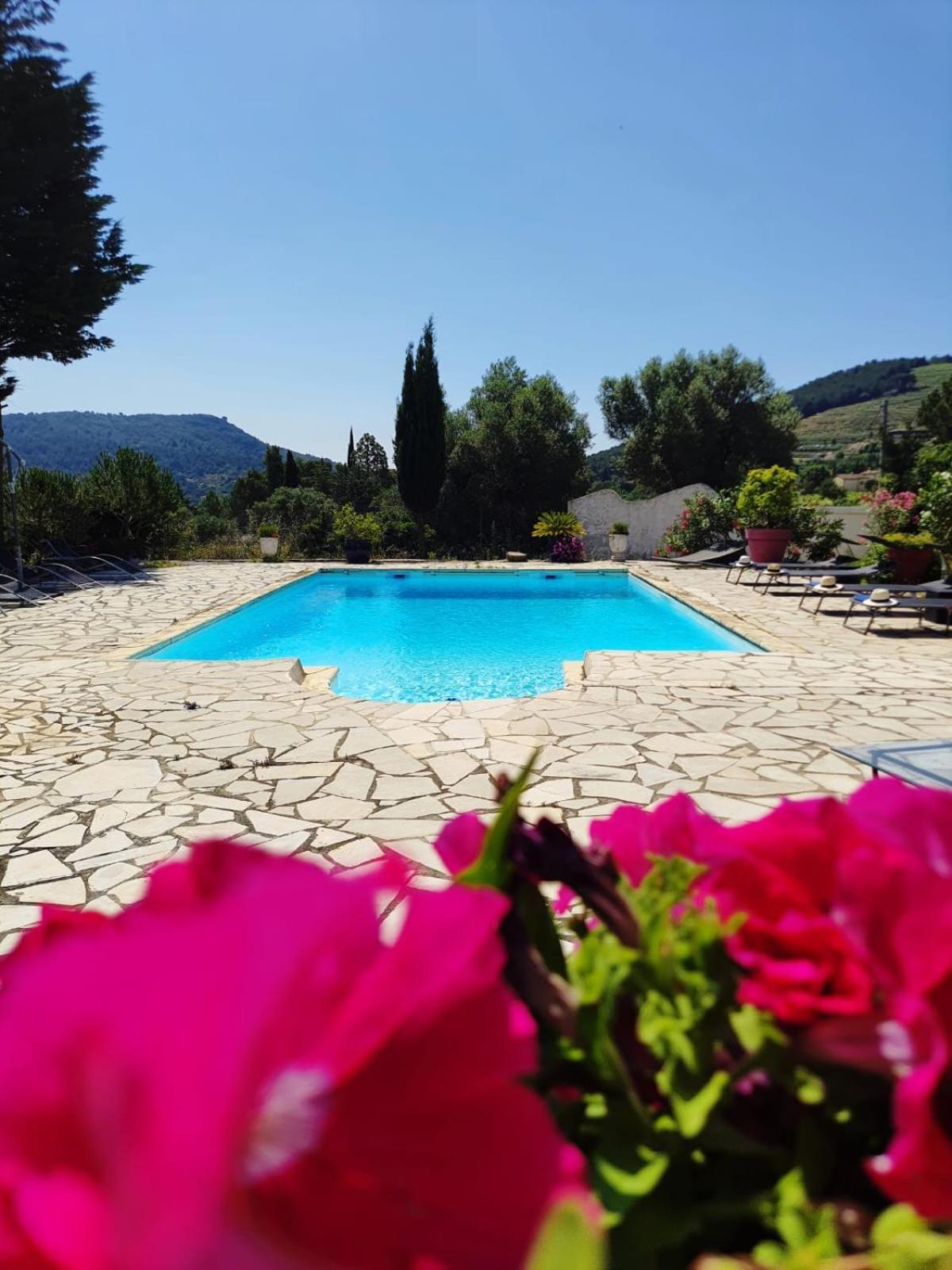 לה באסט Logement La Belle Provence מראה חיצוני תמונה